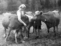 Elainten hoitoa Kitsasessa